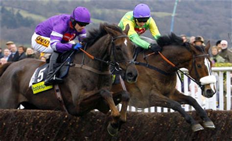 horseracebase|Horse Racing Tools, Software And Database Solutions.